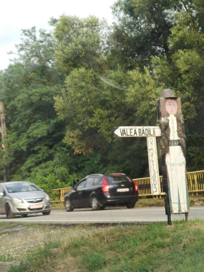 Pensiunea Valea Badilii Valea Iasului Luaran gambar