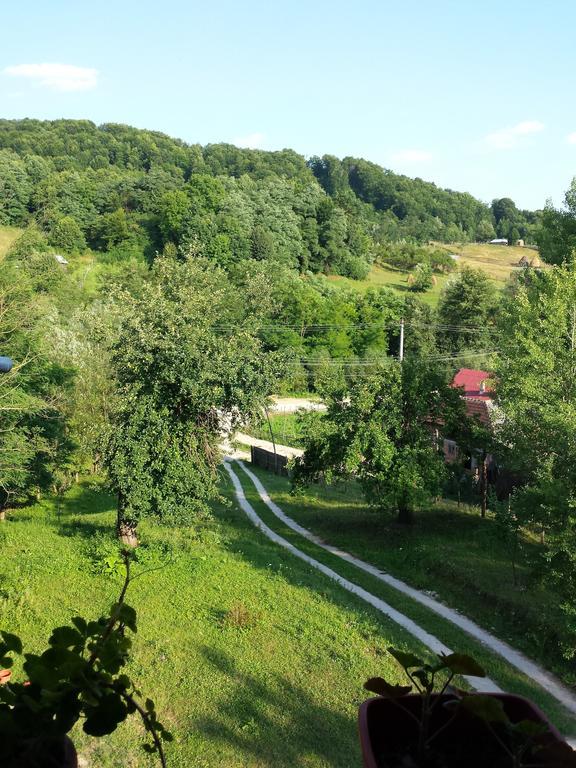 Pensiunea Valea Badilii Valea Iasului Luaran gambar