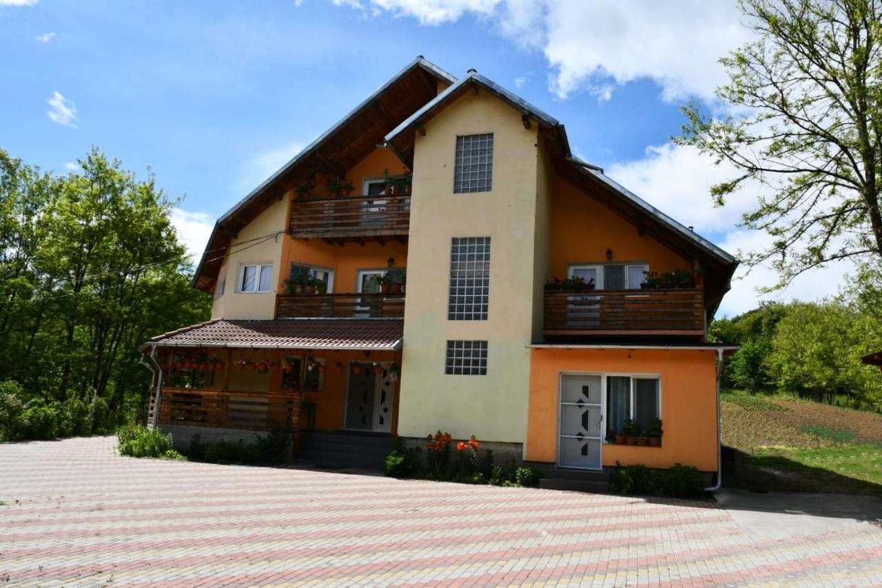 Pensiunea Valea Badilii Valea Iasului Luaran gambar