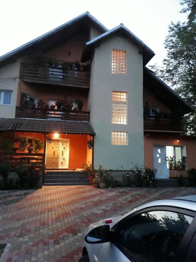 Pensiunea Valea Badilii Valea Iasului Luaran gambar